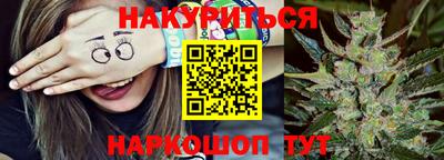 сатива Бийск