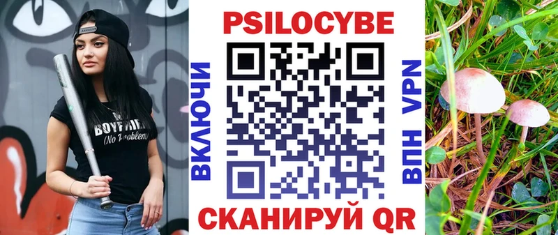 Псилоцибиновые грибы GOLDEN TEACHER Клин